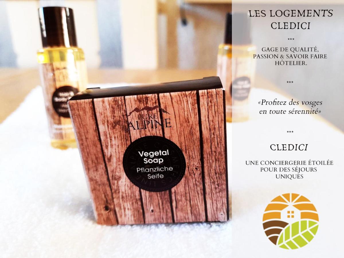 ⁂⁂ Le Nid De Pierre & Julie Cledicihome 2 Pas Du Centre Ville / Spa & Terasse Amenagee ⁂⁂ لابْريسْ المظهر الخارجي الصورة